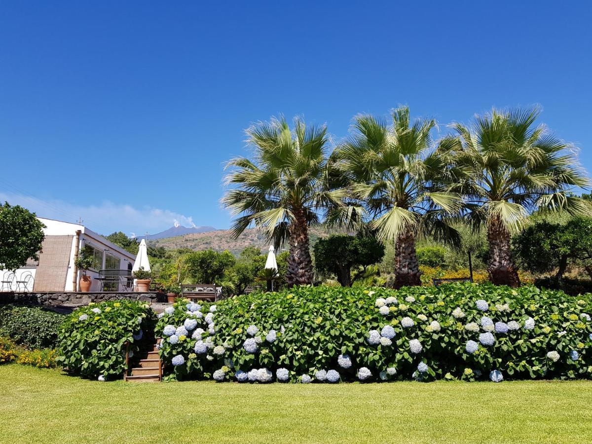 Agriturismo Le Case Di Civi Mascali Eksteriør billede