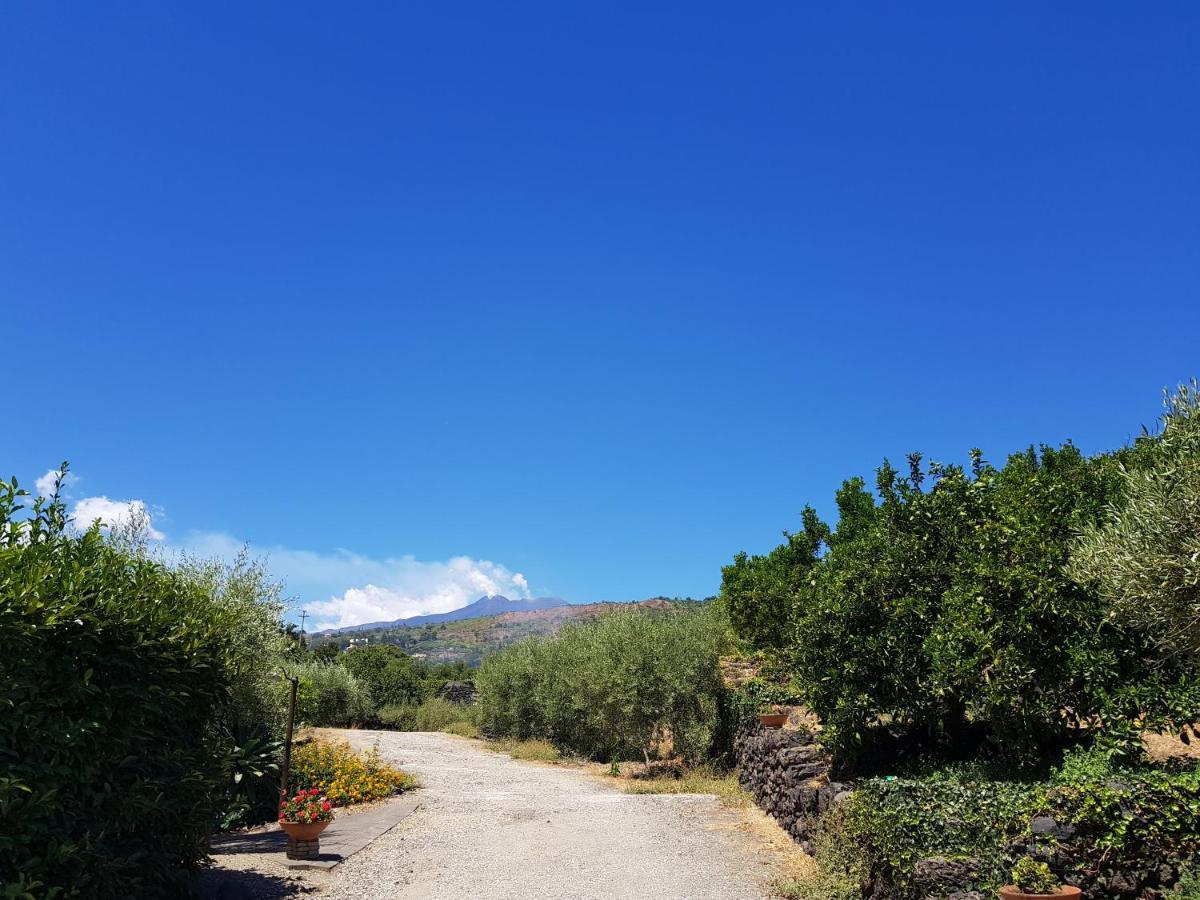 Agriturismo Le Case Di Civi Mascali Eksteriør billede
