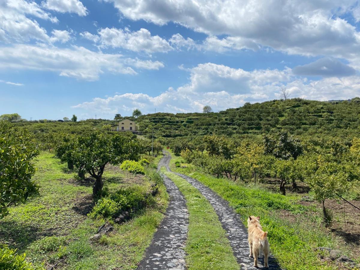 Agriturismo Le Case Di Civi Mascali Eksteriør billede