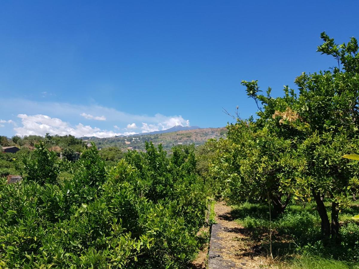 Agriturismo Le Case Di Civi Mascali Eksteriør billede