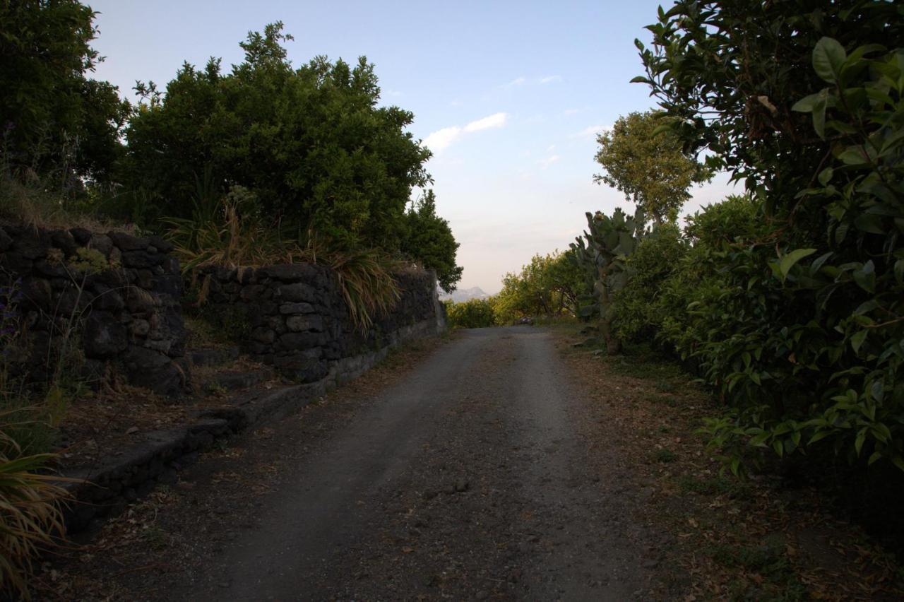 Agriturismo Le Case Di Civi Mascali Eksteriør billede
