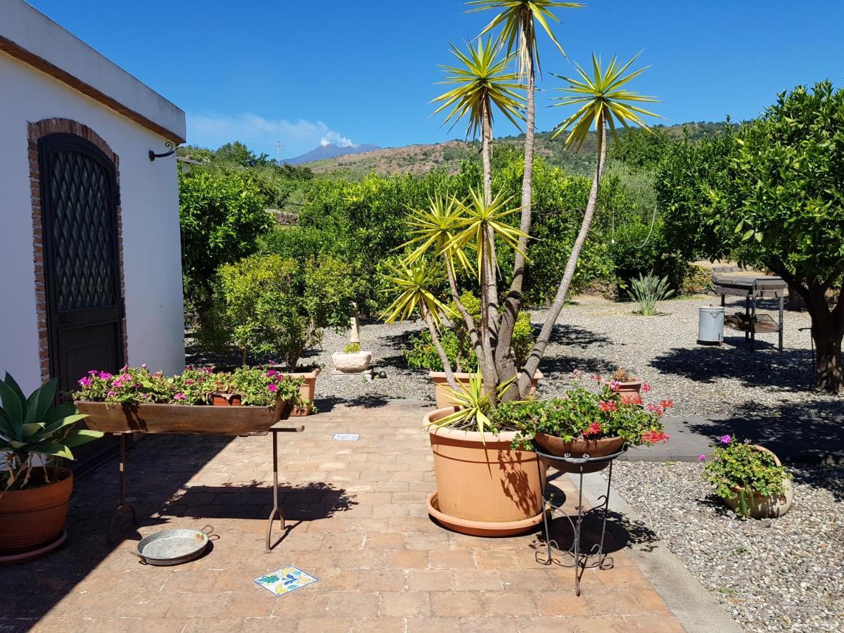 Agriturismo Le Case Di Civi Mascali Eksteriør billede