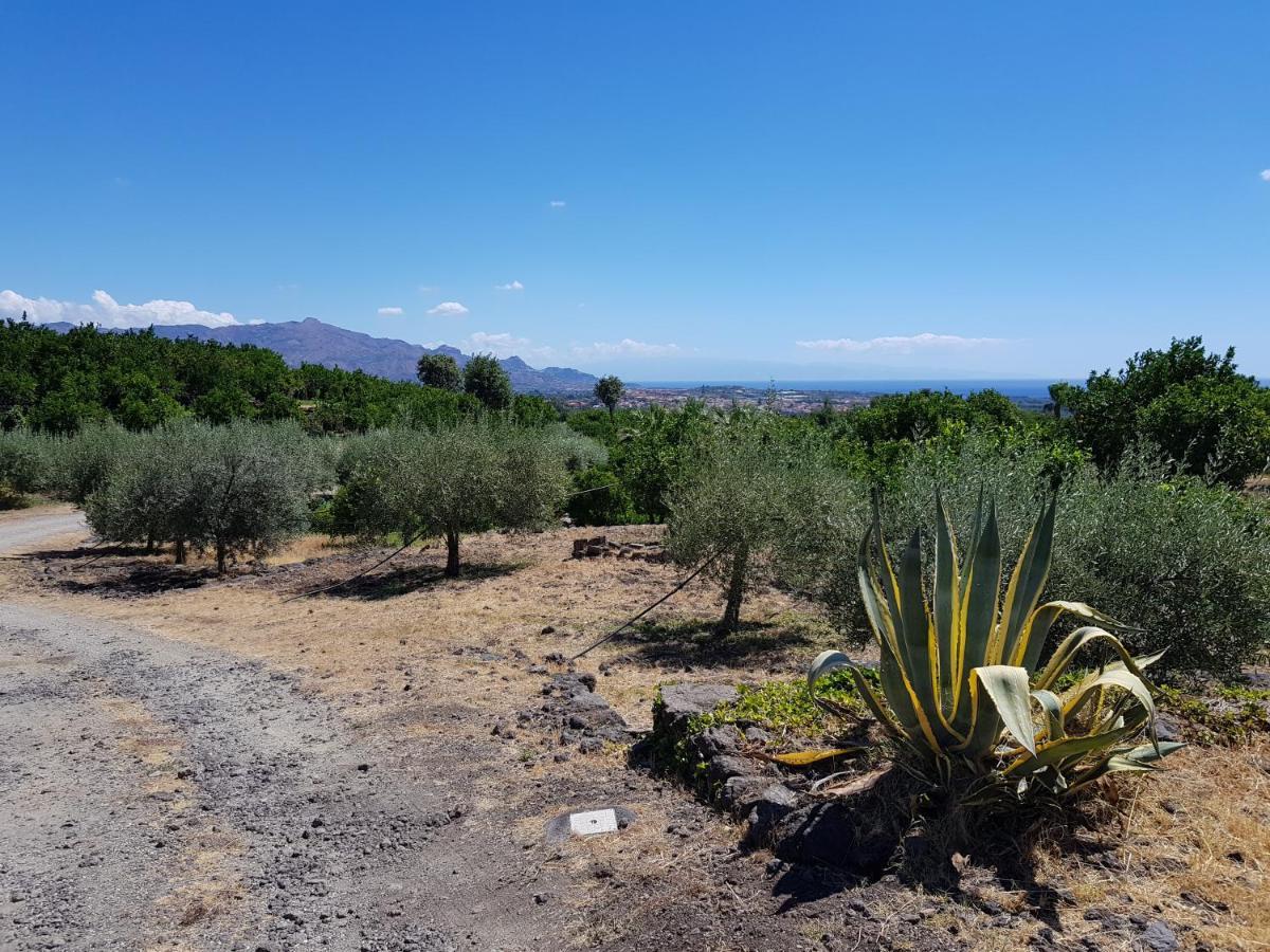 Agriturismo Le Case Di Civi Mascali Eksteriør billede