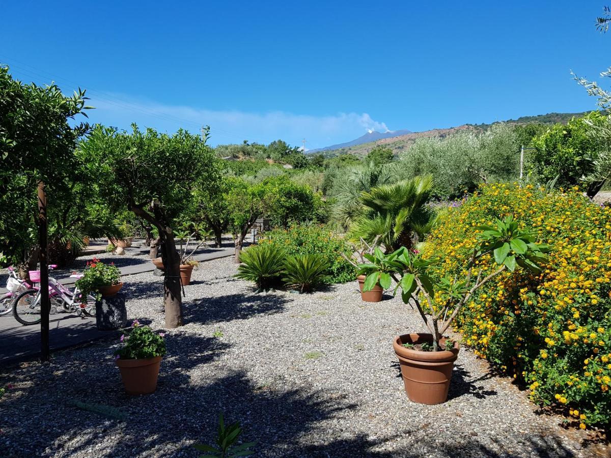 Agriturismo Le Case Di Civi Mascali Eksteriør billede