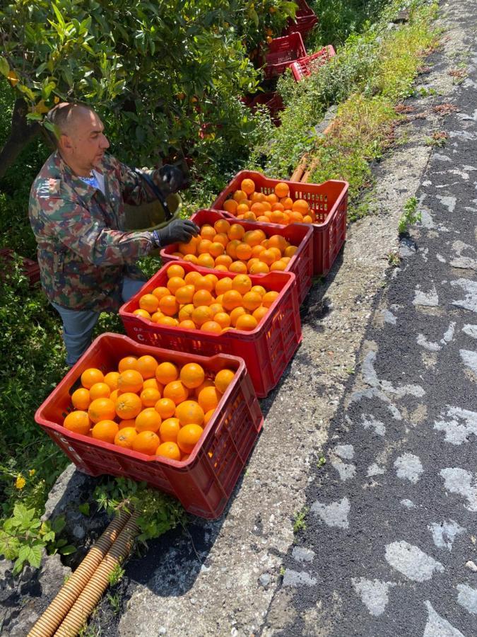 Agriturismo Le Case Di Civi Mascali Eksteriør billede